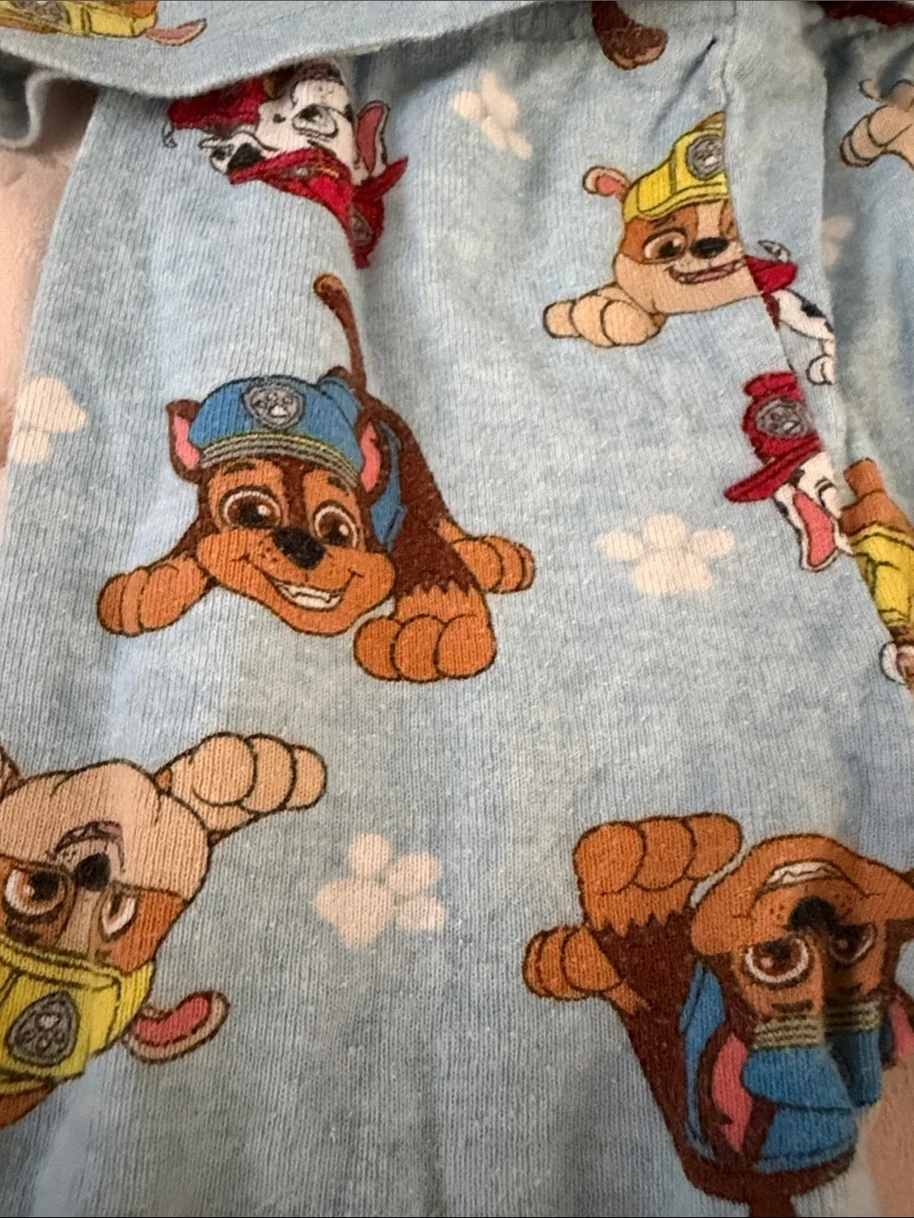 Paw Patrol Light Blue Short Sleeve Pajama Set with Character Print